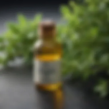 Safety Profile of Oregano Oil Safety profile and usage guidelines for oregano oil
