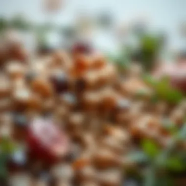 Rich Sources of Selenium in the Diet Dietary Sources of Selenium