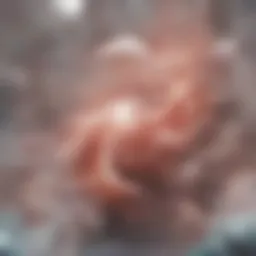 Detailed illustration of uterine lining layers