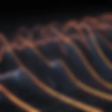 Detailed diagram of fibrillation waveforms in ECG readings