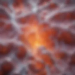 Microscopic view of fibrotic tissue highlighting collagen deposition