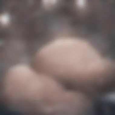 Anal Fistula Clinical Representation Clinical representation of an anal fistula with surrounding tissues