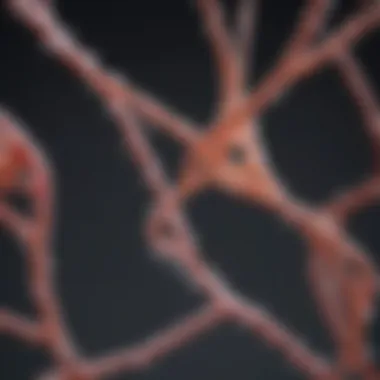 Genetic Structure of Fragile X Syndrome Genetic structure of Fragile X Syndrome