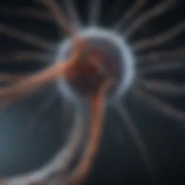 Neural Networks in Movement Coordination Graphic representation of neural networks facilitating movement coordination