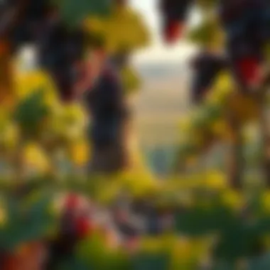 Origins of Grape Cultivation A serene landscape representing the origins of grape cultivation