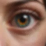 Chemical structure of key ingredients in Hypotears eye drops