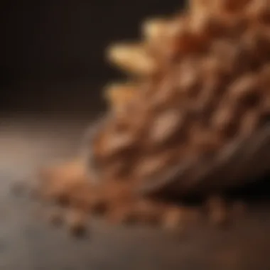 Cocoa Fiber in Health Supplements Cocoa fiber in health supplements