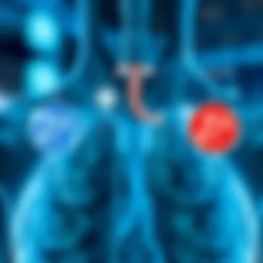 Mechanisms of Action in New COPD Medications Diagram illustrating COPD treatment mechanisms
