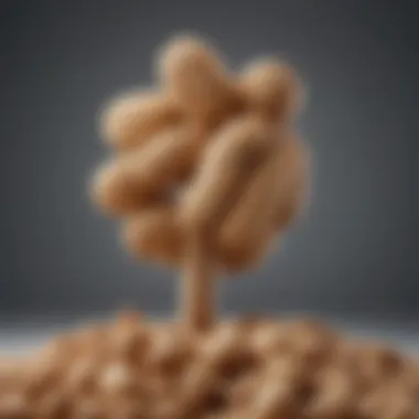 Visual representation of peanut allergen structure