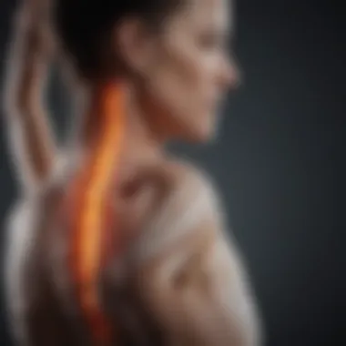 Infographic on musculoskeletal disorders related to vibration