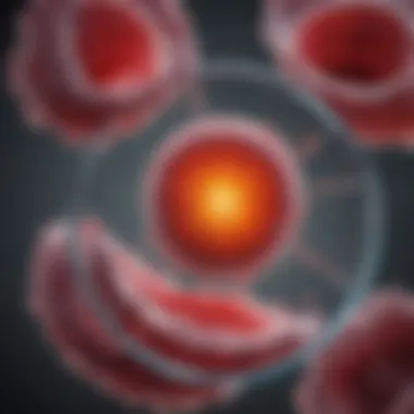 Diagram showing key hormones in the menstrual cycle
