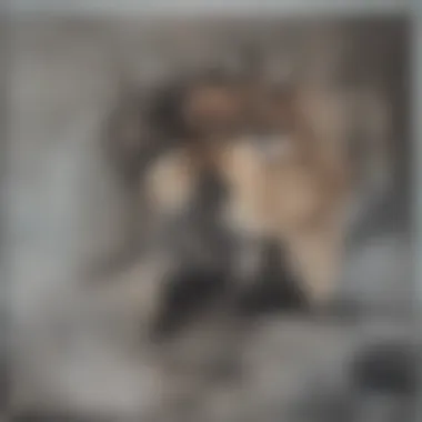Close-up of a dog with a worried expression