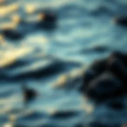 Marine Applications: Bridging Technology and Nature Introduction