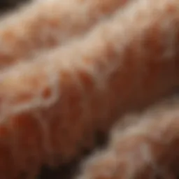 Molecular structure of mohair protein