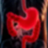 Natural Treatment for Gastric Ulcer: A Comprehensive Guide Introduction