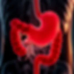 Natural Treatment for Gastric Ulcer: A Comprehensive Guide Introduction