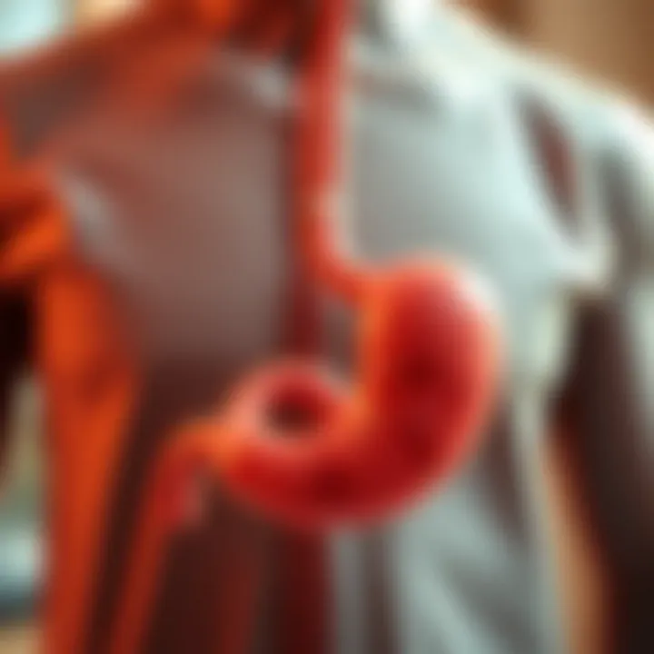Notable Natural Treatment for Gastric Ulcer: A Comprehensive Guide