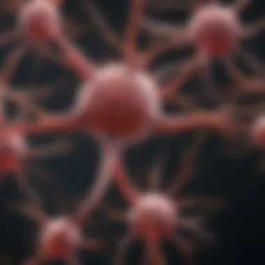 Stages of Neuron Development Visual representation of neuron development stages influenced by neurotrophy