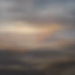 Vast New Zealand farmland landscape