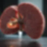Comprehensive assessment tools for liver cancer care