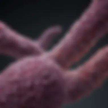 Pancreatic Cancer and Heredity: Exploring Genetic Links Summary Pancreatic Cancer and Heredity: Exploring Genetic Links Summary