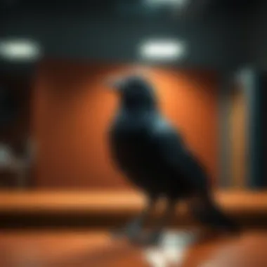 Diverse educational settings utilizing Raven APM test