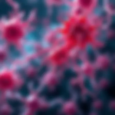 Regulatory Factors Influencing Osteoblast Function Visual representation of regulatory factors affecting osteoblast activity
