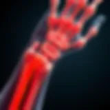 Anatomy of the wrist highlighting the median nerve