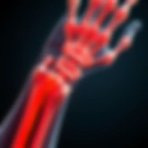 Anatomy of the wrist highlighting the median nerve