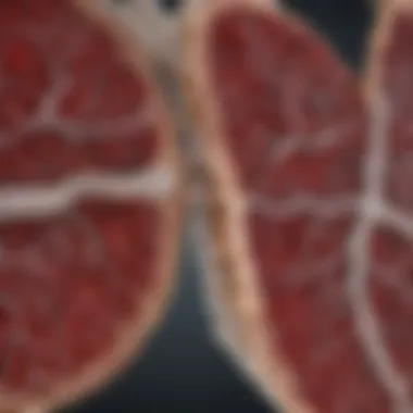 Research Findings on Asbestos Exposure and Liver Health Graph showing research findings on liver damage in individuals exposed to asbestos