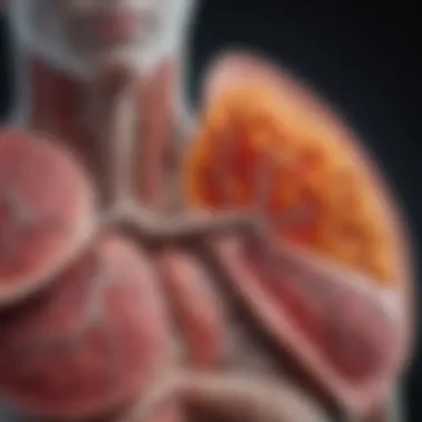 Analyzing Risk Factors Linked to Lung Health Graph depicting risk factors associated with emphysema and lung cancer