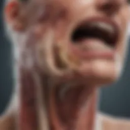 Illustration depicting the anatomy of exocrine glands affected by Sjögren's syndrome