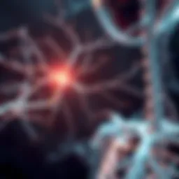 Neurological pathways affected by Guillain-Barré Syndrome