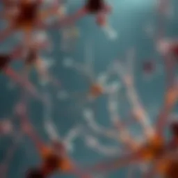 Candida spores under a microscope