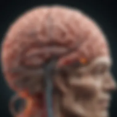 Visual depiction of targeted brain areas affected by DBS