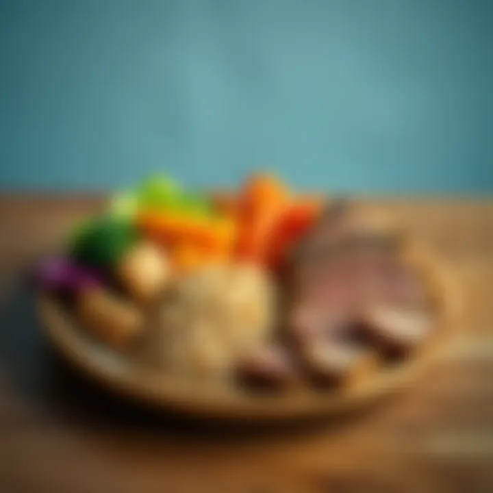 Essentials of a Balanced Diet A balanced plate showcasing whole grains and lean proteins