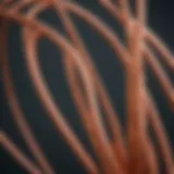 A close-up view of copper wires showcasing conductivity