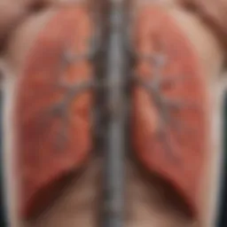 Diagram illustrating the relationship between emphysema and lung cancer