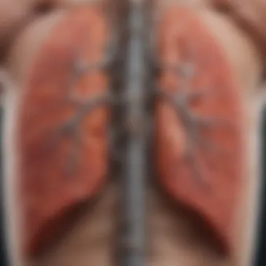 Understanding the Connection Between Emphysema and Lung Cancer Diagram illustrating the relationship between emphysema and lung cancer