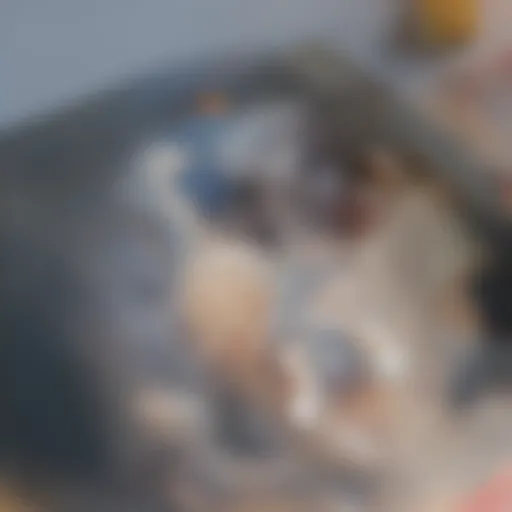 Close-up of a dental polishing tool in action