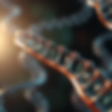 Visual representation of transcription factors binding to DNA