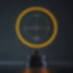 Schematic representation of absorptiometry principles