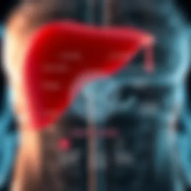 Alkaline Phosphatase in Liver Metabolism Diagram showing the role of alkaline phosphatase in liver function and metabolic processes