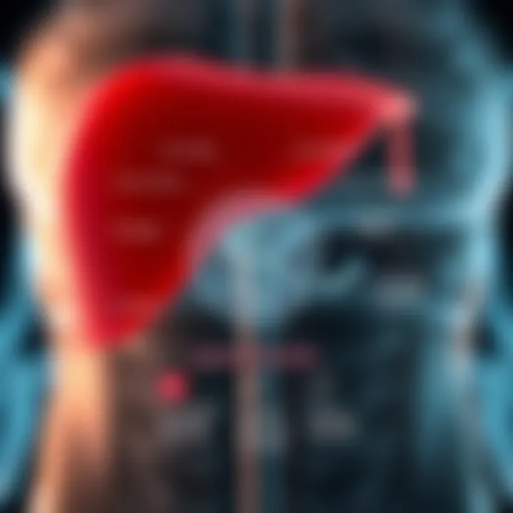 Alkaline Phosphatase in Liver Metabolism Diagram showing the role of alkaline phosphatase in liver function and metabolic processes