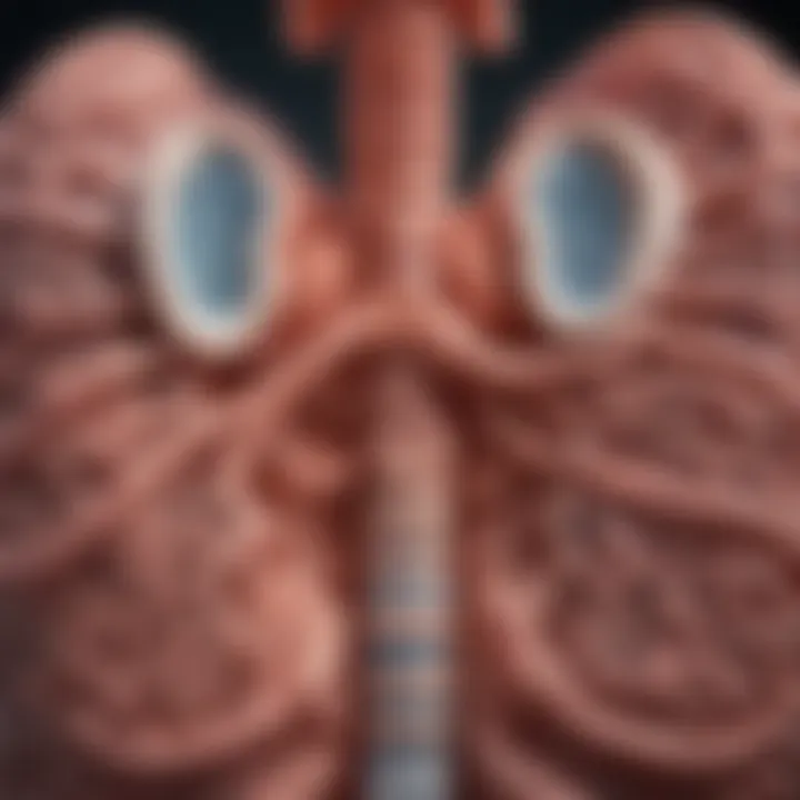 Illustration of lung development in infants