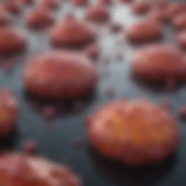 Understanding Cleaved Caspase 3: Size and Implications in Cellular Processes Introduction Understanding Cleaved Caspase 3: Size and Implications in Cellular Processes Introduction