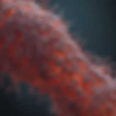 Understanding Cleaved Caspase 3: Size and Implications in Cellular Processes Summary Understanding Cleaved Caspase 3: Size and Implications in Cellular Processes Summary