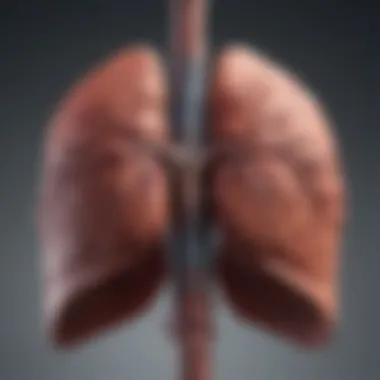 Diagnostic Approaches for Liver Metastasis Flowchart detailing diagnostic approaches for identifying liver metastasis in colon cancer patients