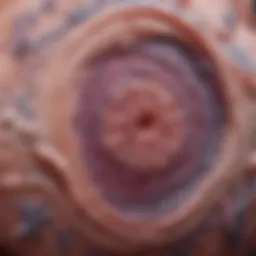 Histopathological slide showcasing cribriform patterns