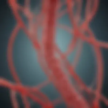 Biological Pathways Linking Diabetes to UTIs Diagram illustrating the biological pathways linking diabetes to urinary tract infections